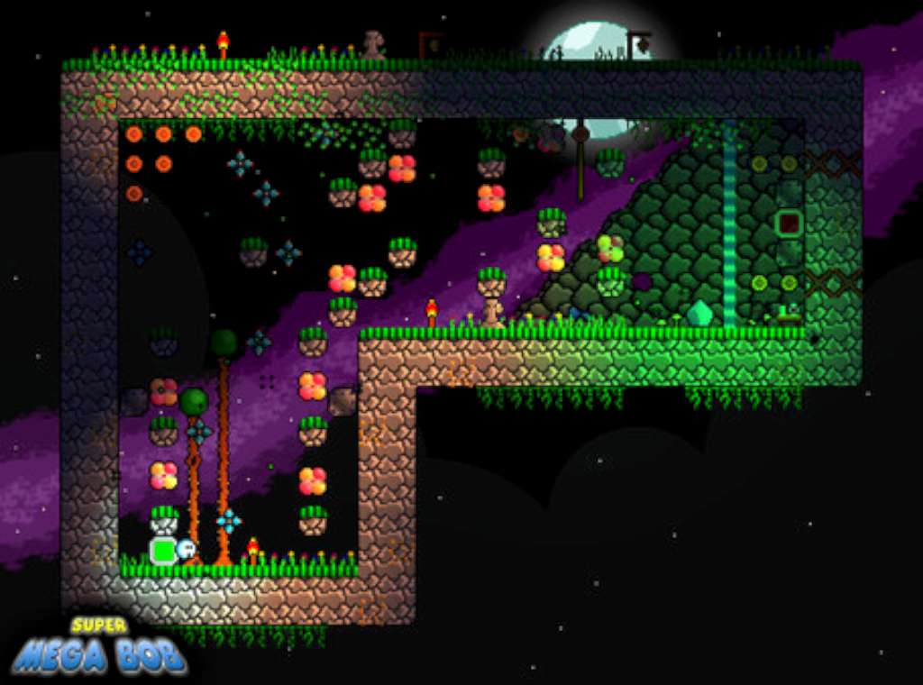 Screenshot 13
