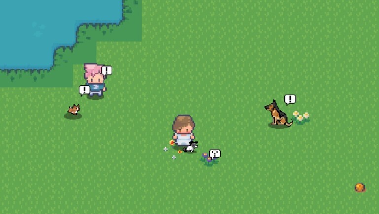 Screenshot 13