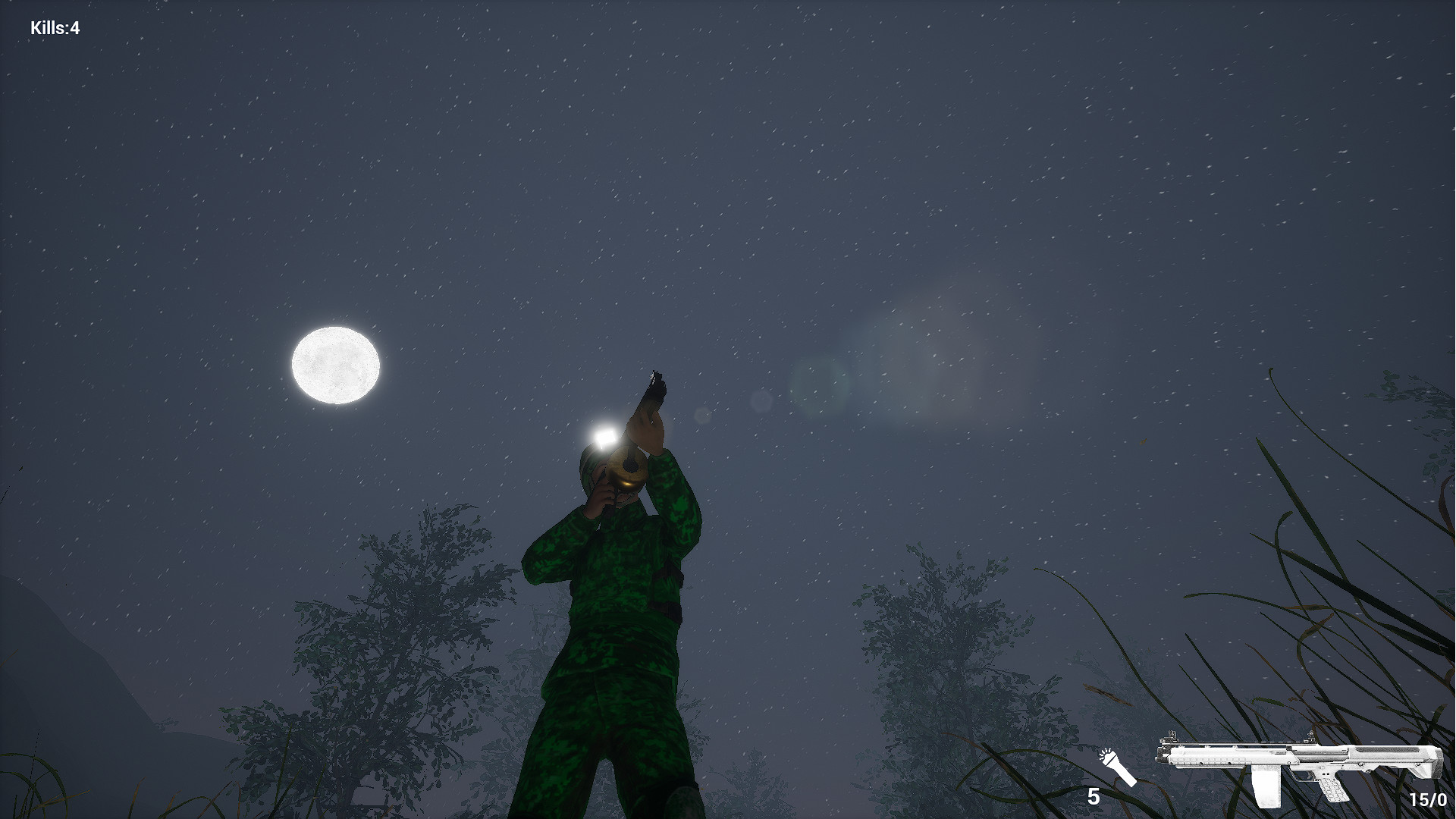 Screenshot 12