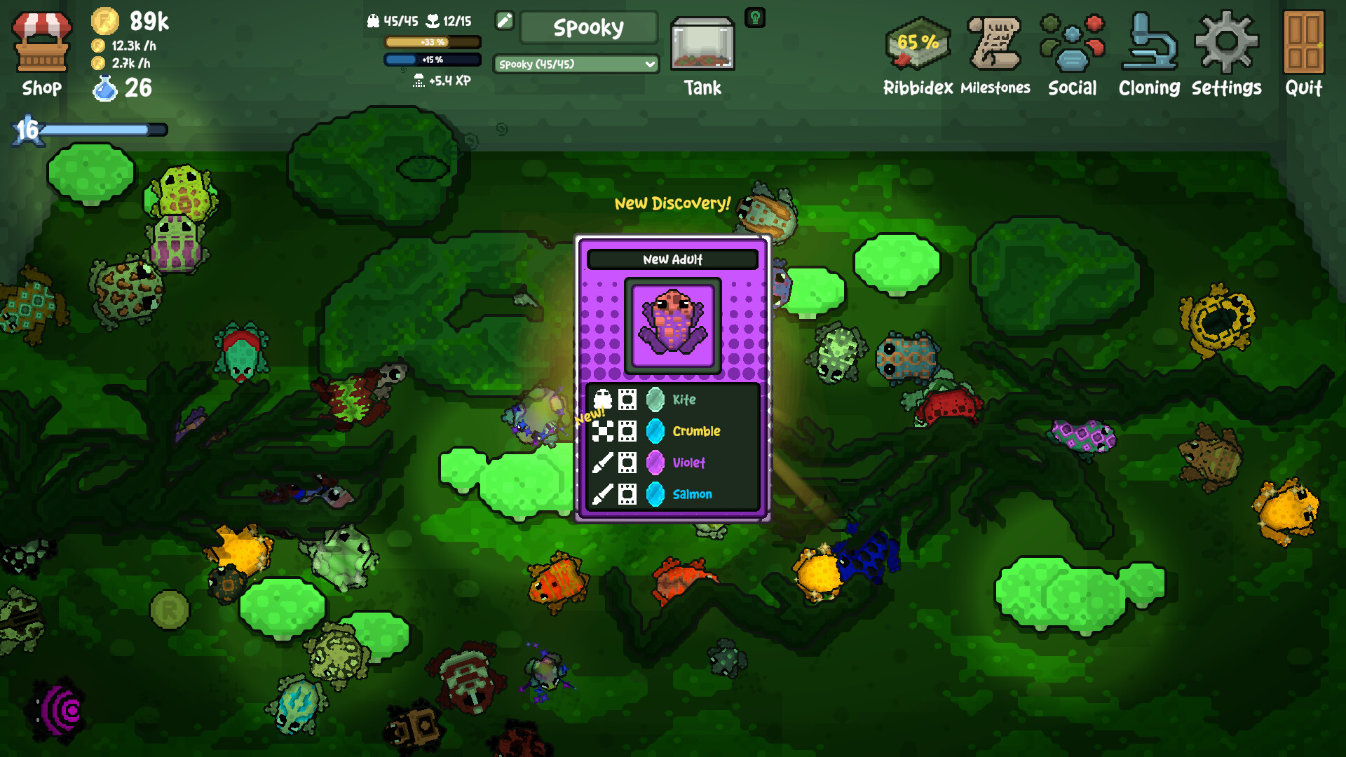 Screenshot 17