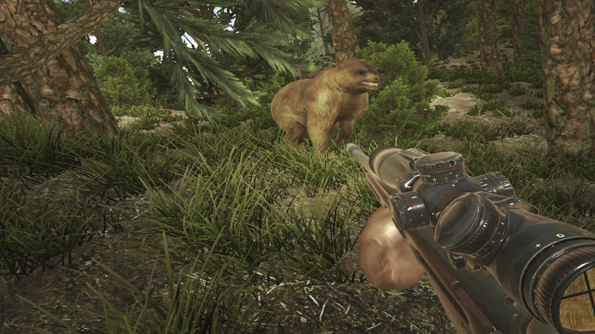 Screenshot 17