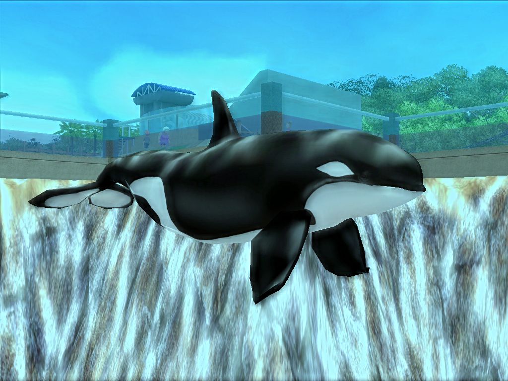 Screenshot 18
