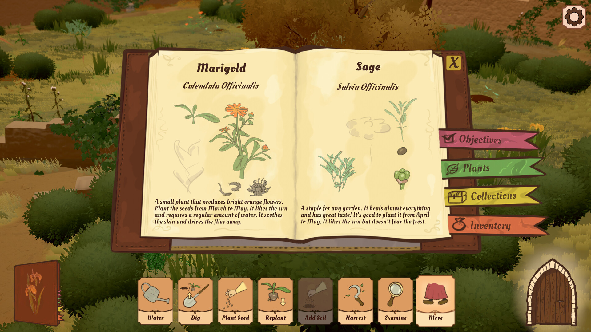 Screenshot 17
