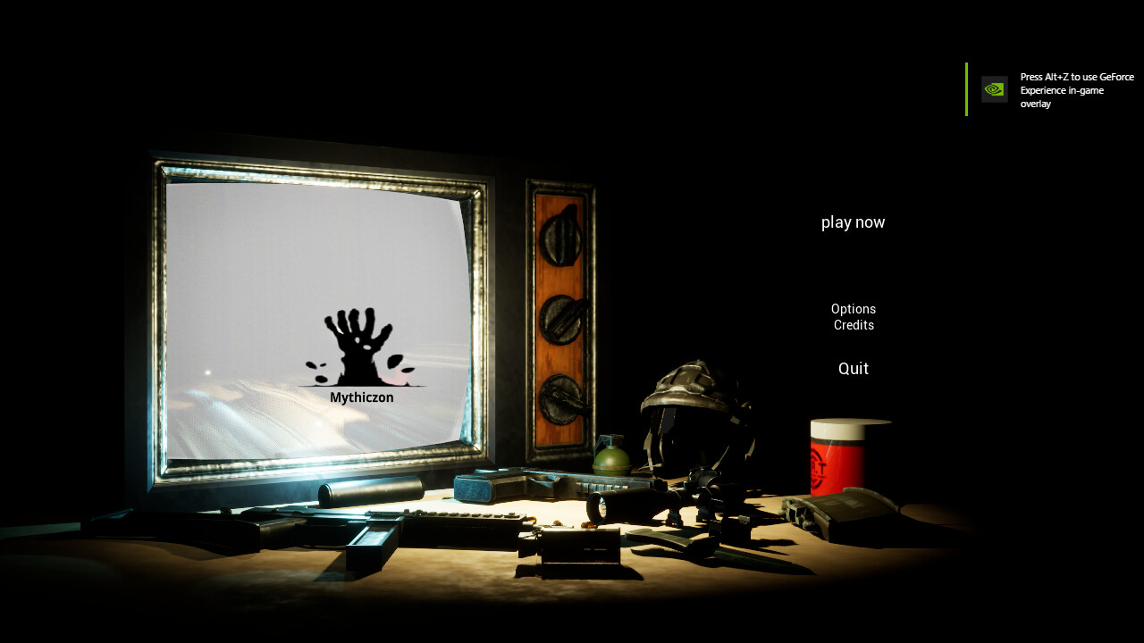 Screenshot 13