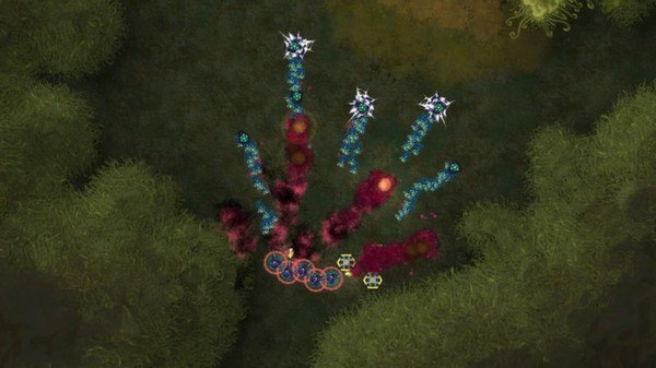 Screenshot 19