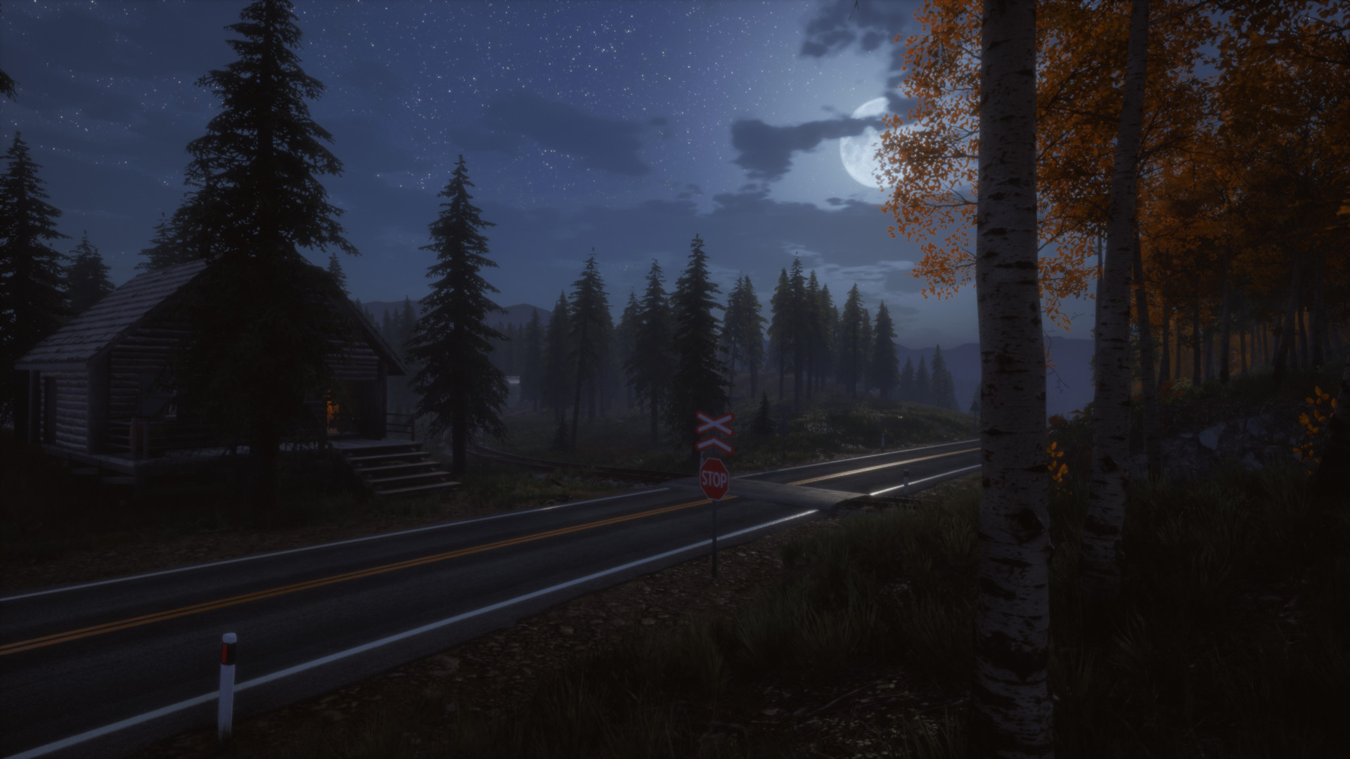 Screenshot 19