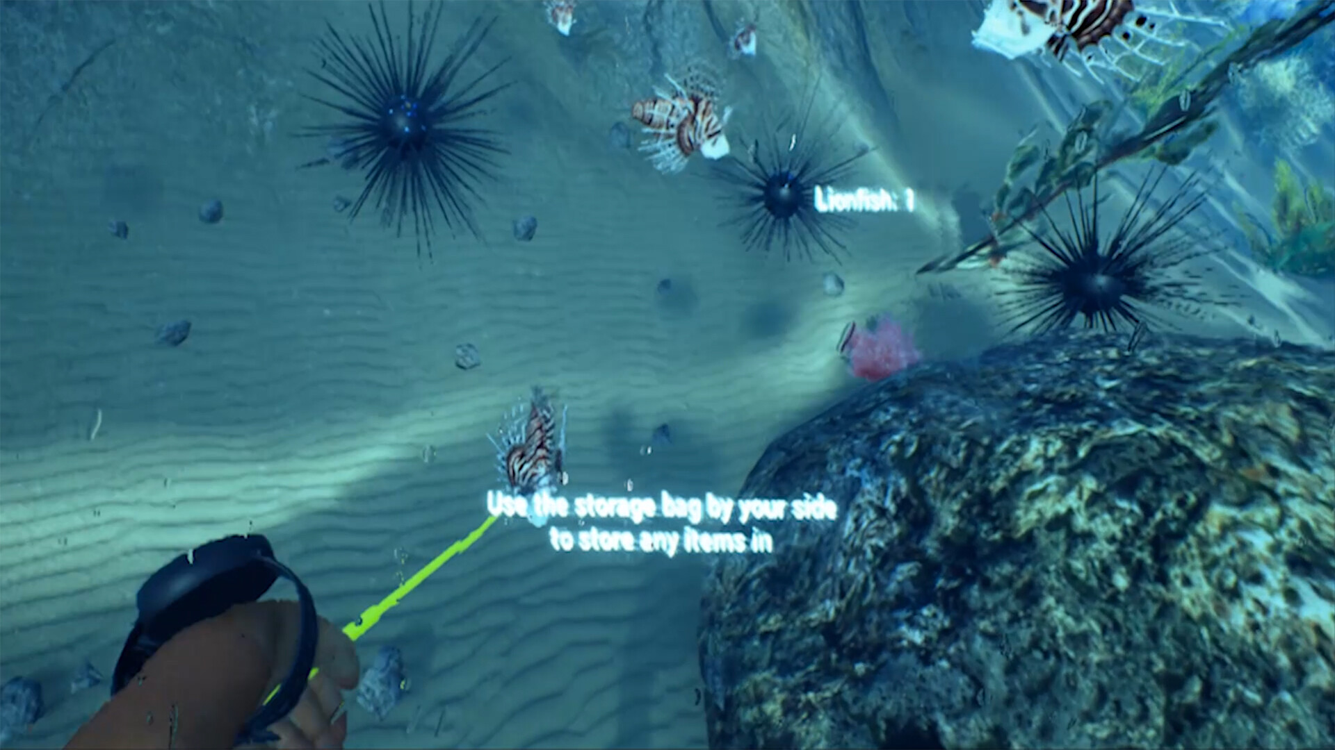 Screenshot 19