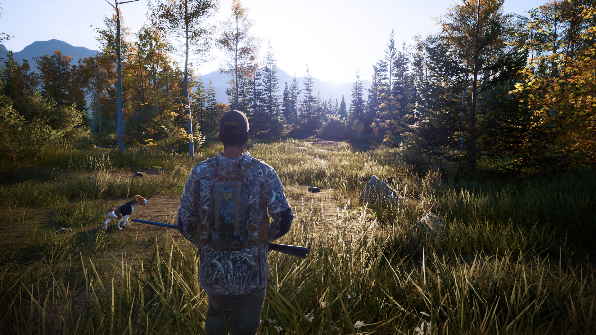 Screenshot 17