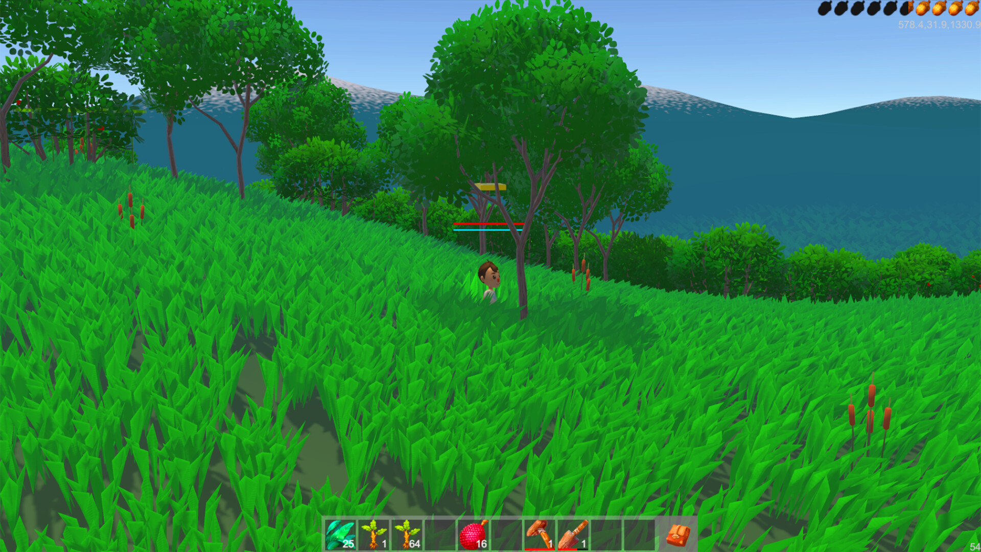 Screenshot 13