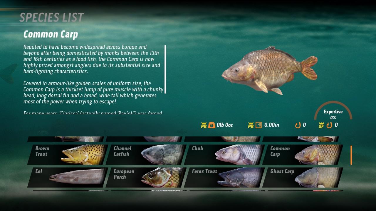 Screenshot 20