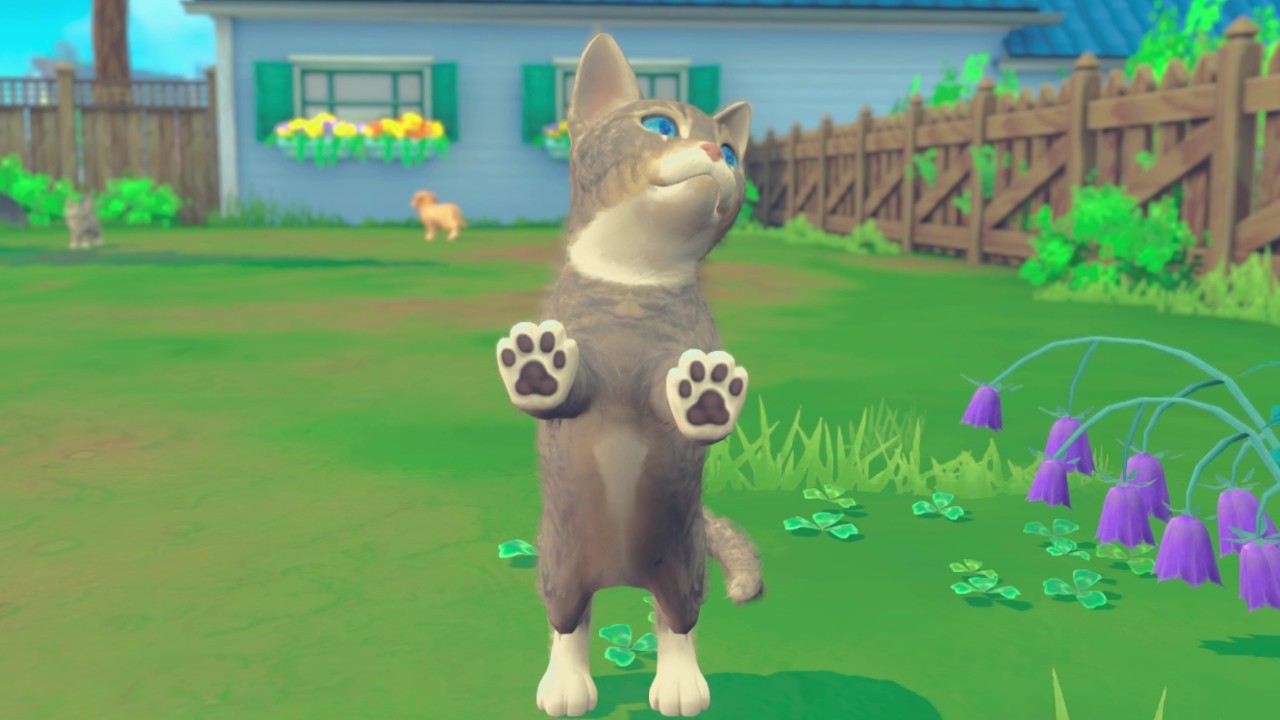Screenshot 18