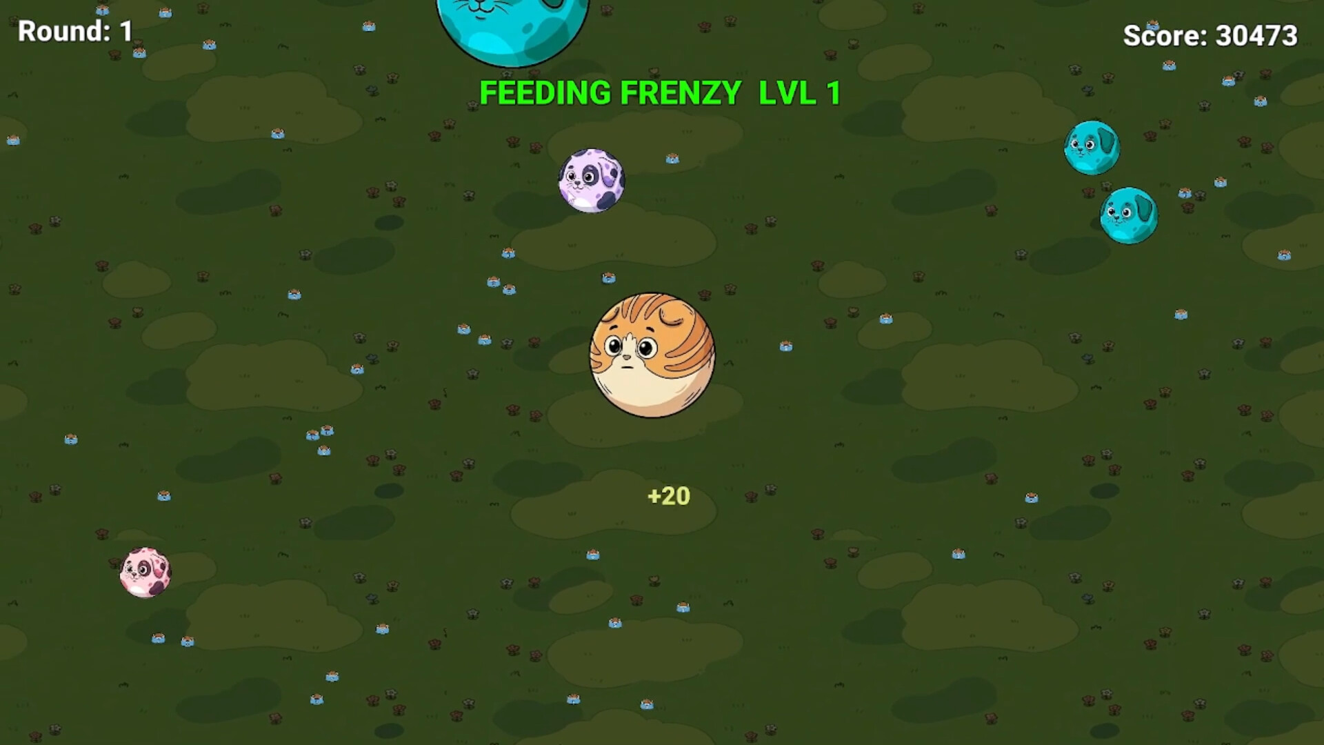 Screenshot 11