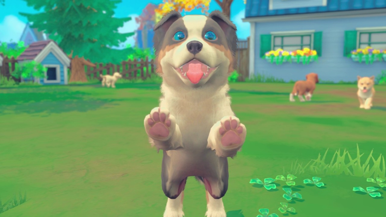 Screenshot 16