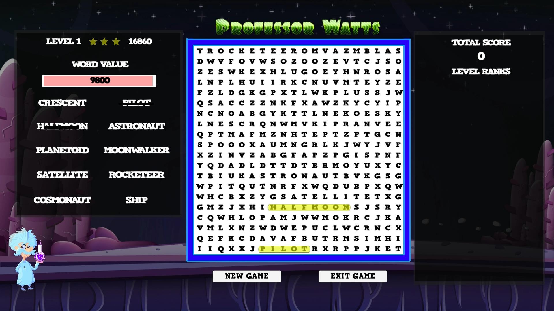 Screenshot 13