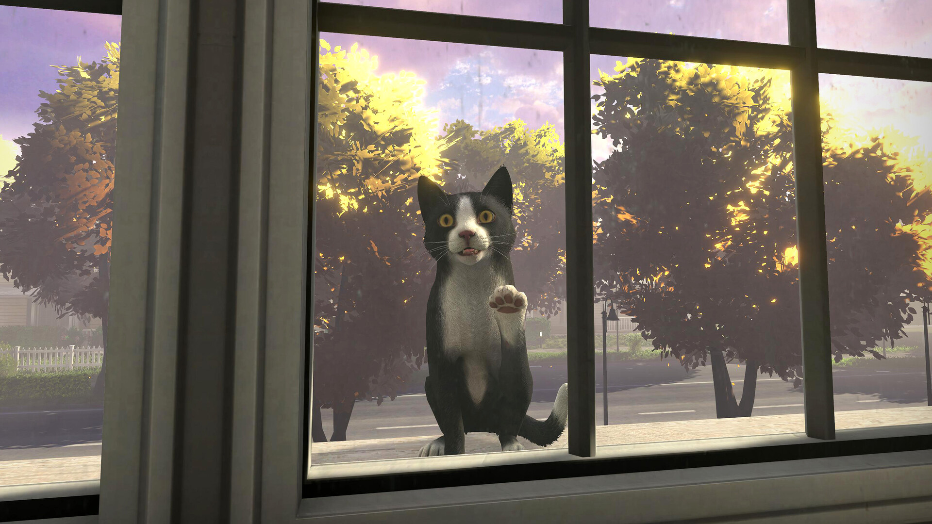 Screenshot 16
