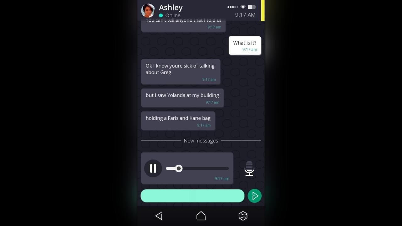 Screenshot 13