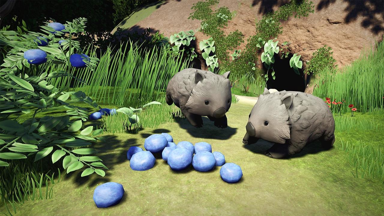 Screenshot 13
