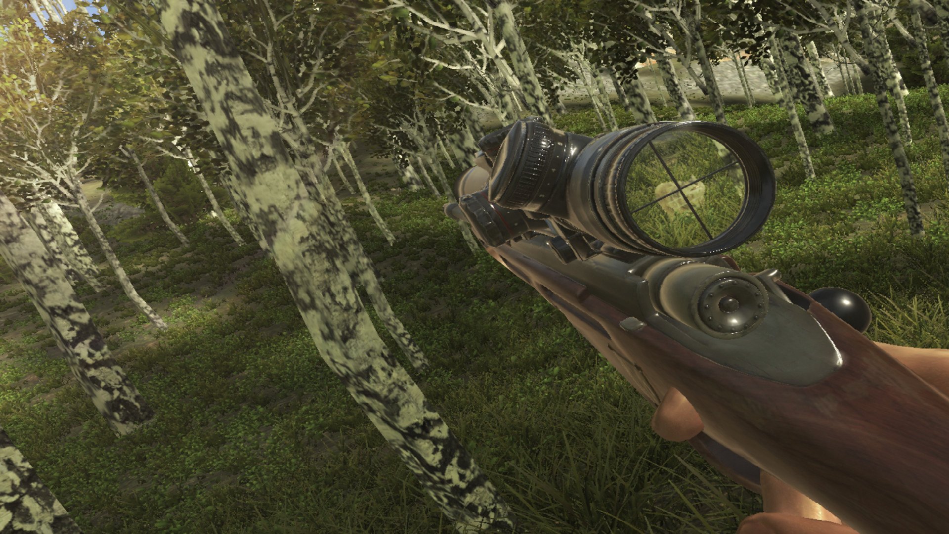 Screenshot 16