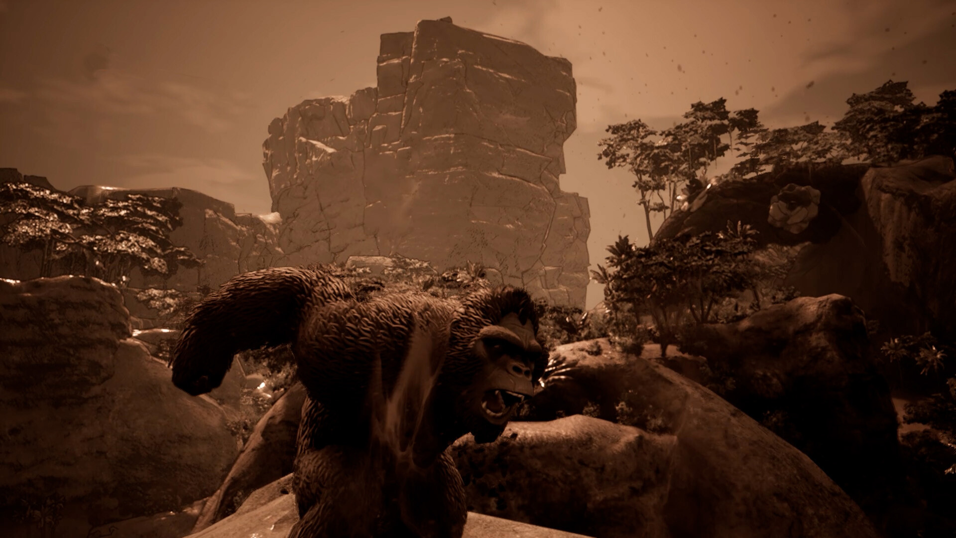 Screenshot 19