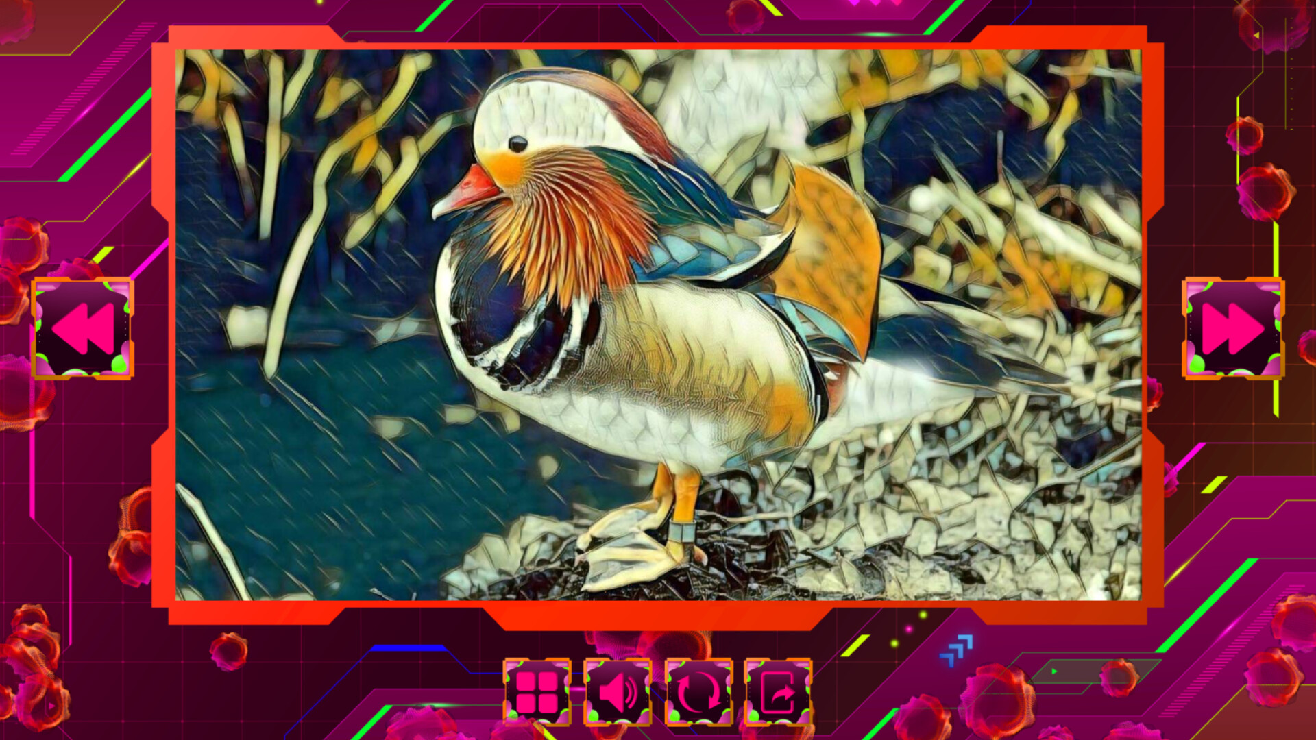 Screenshot 13
