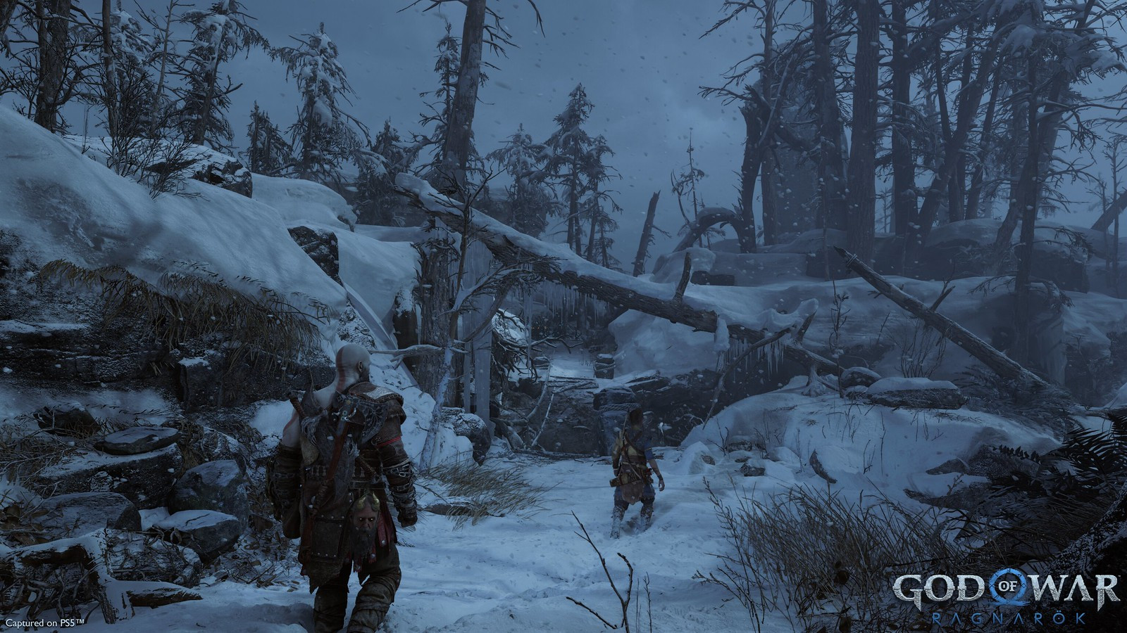 Screenshot 18