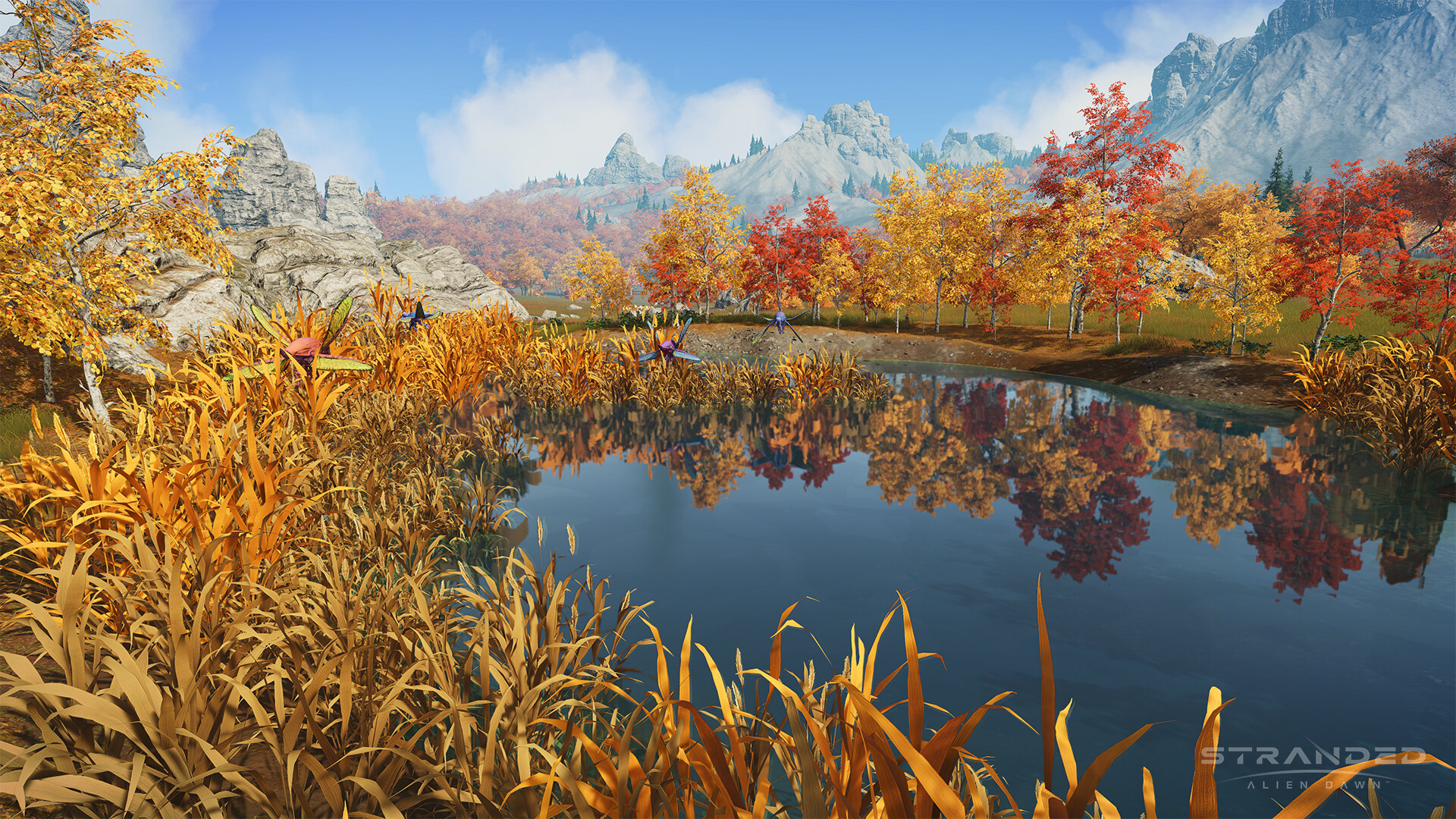 Screenshot 15
