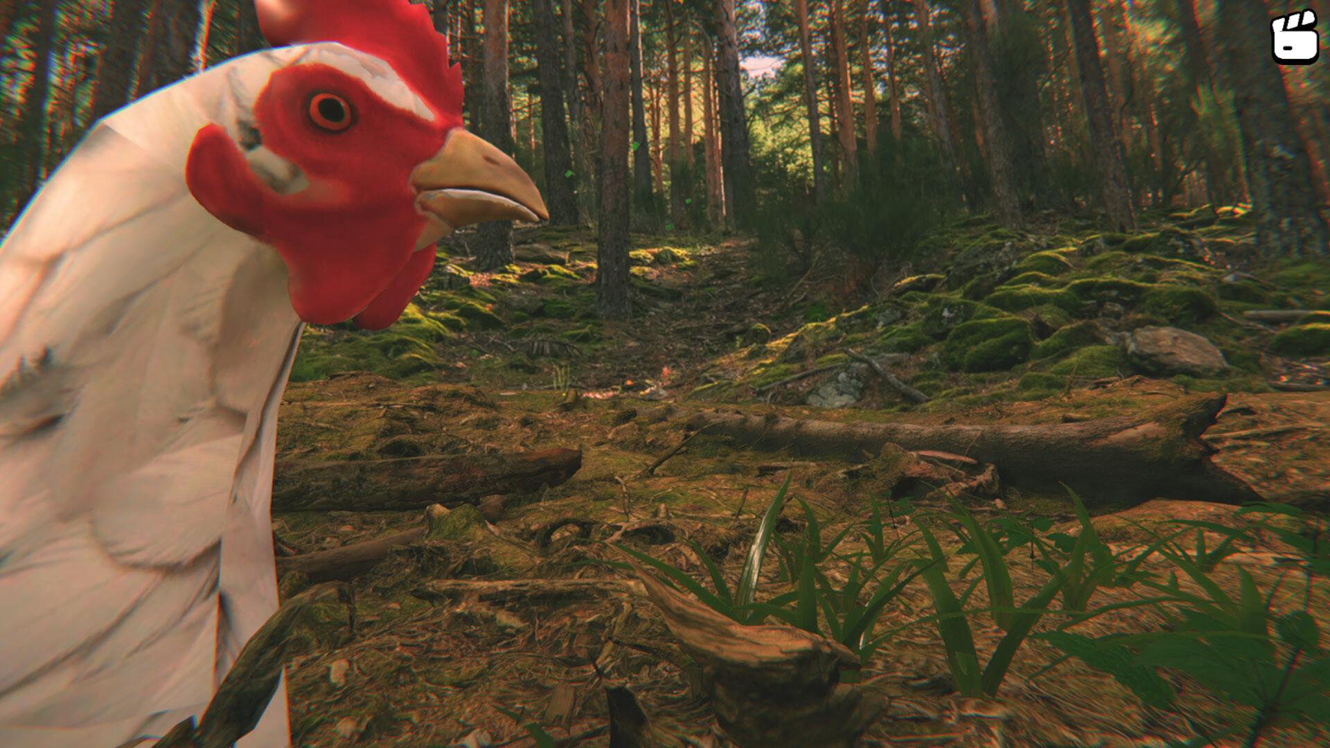 Screenshot 13