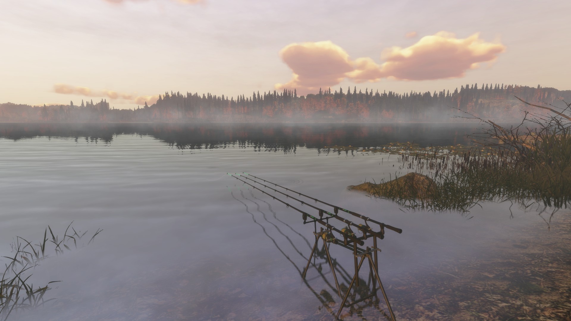 Screenshot 20