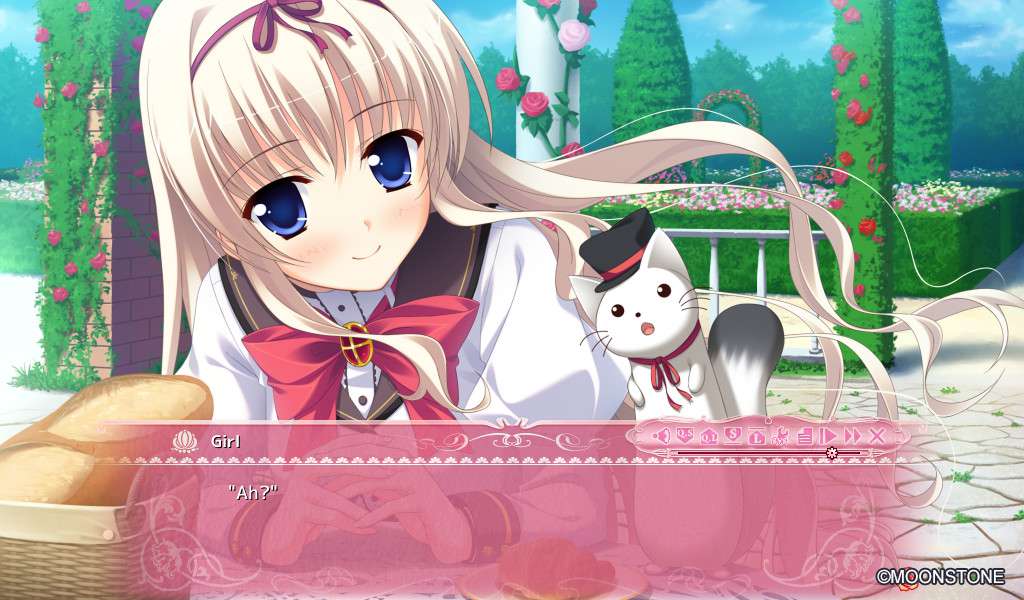 Screenshot 16
