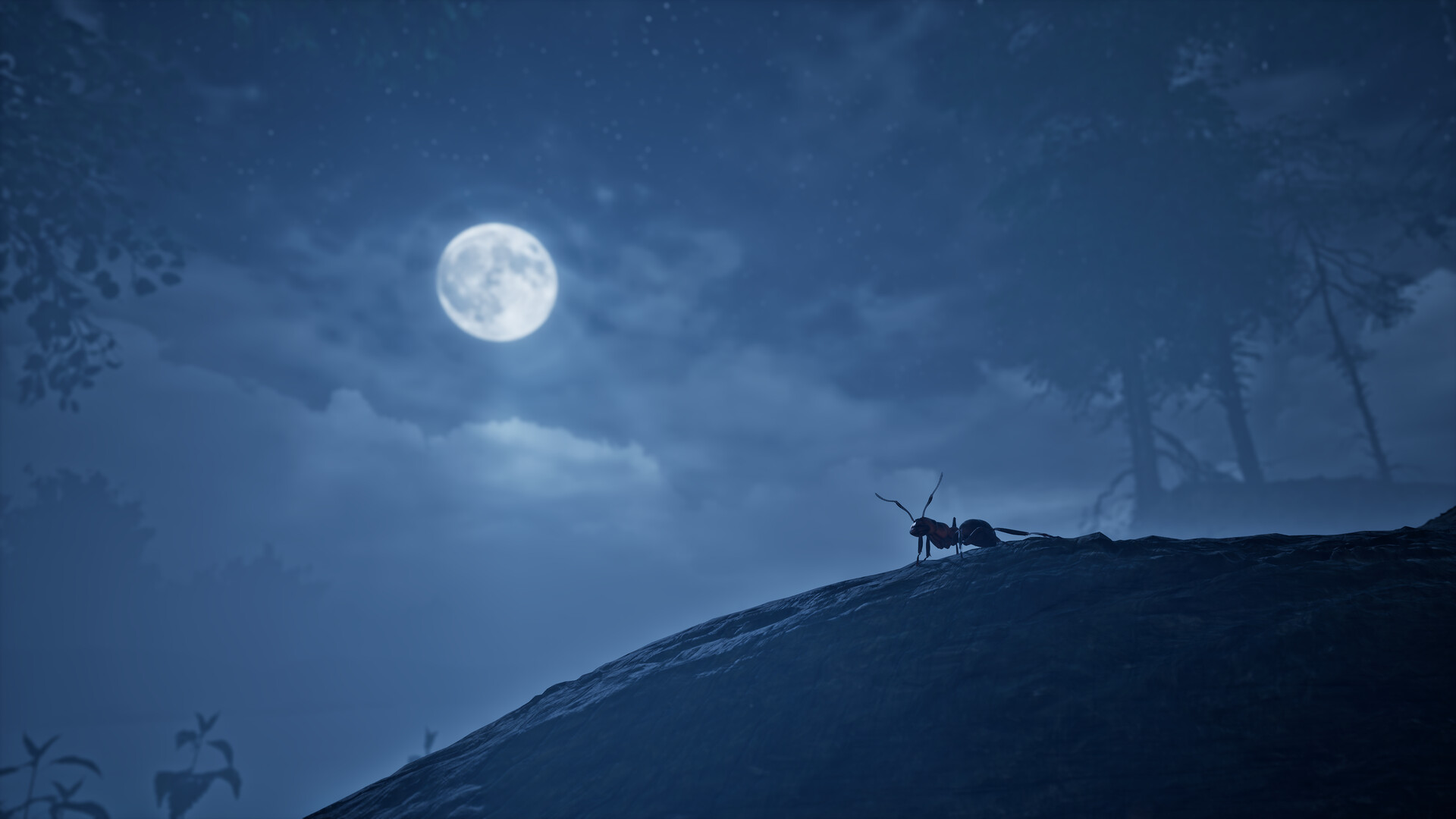 Screenshot 13
