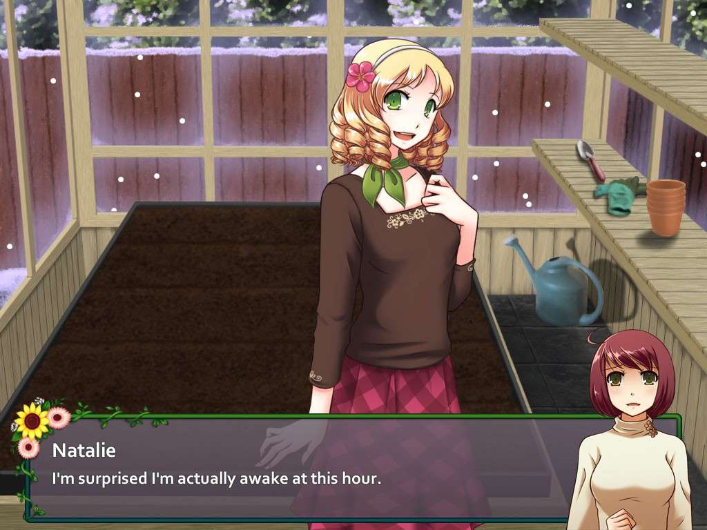 Screenshot 13