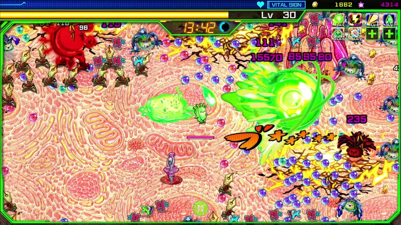 Screenshot 14