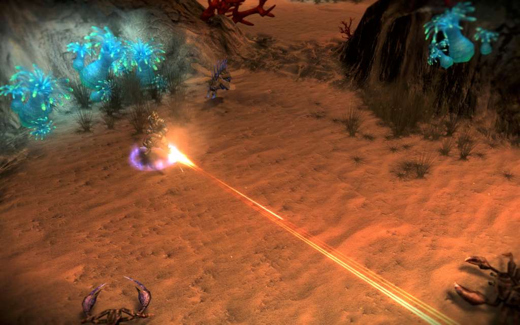 Screenshot 14