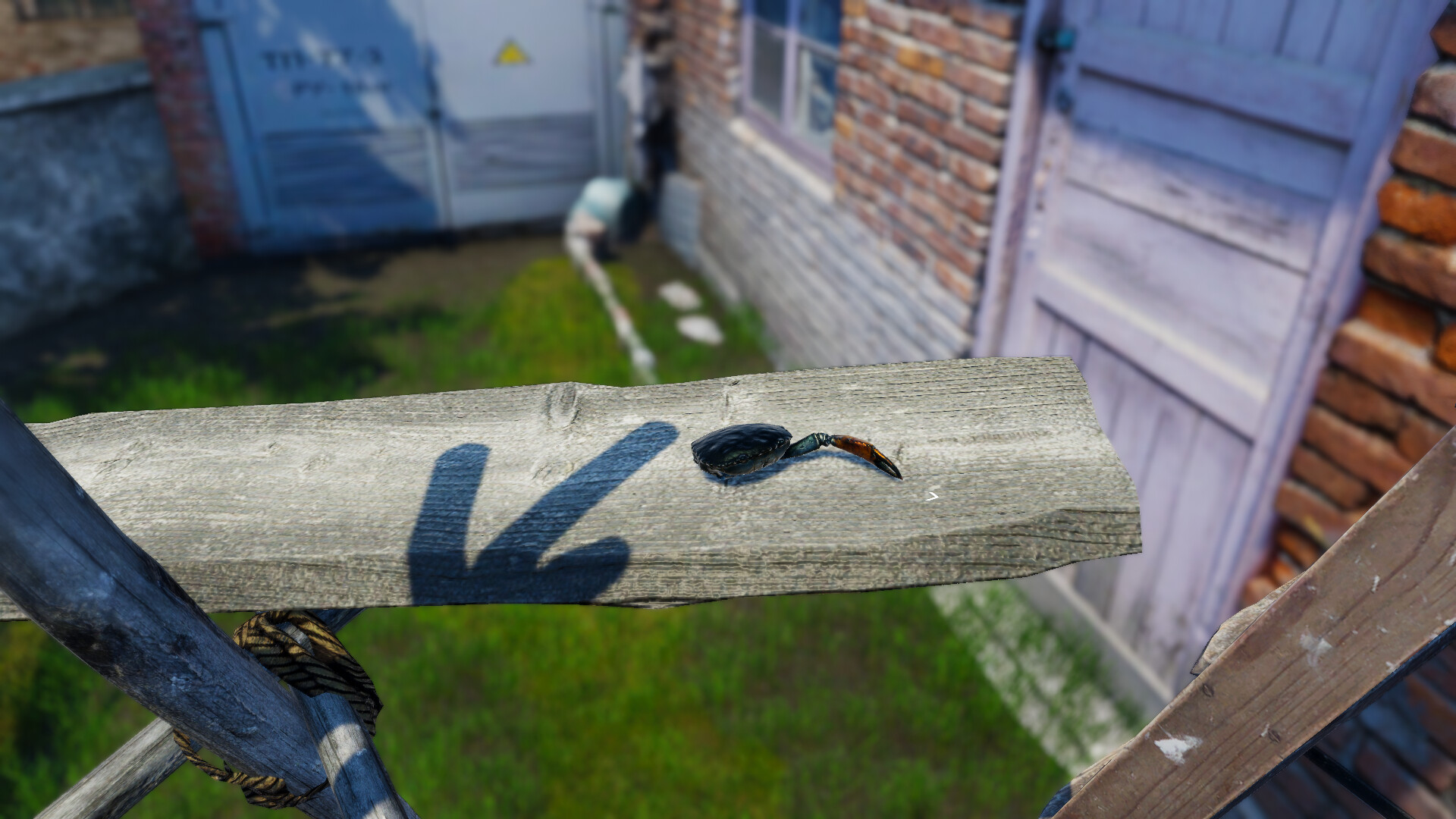 Screenshot 17