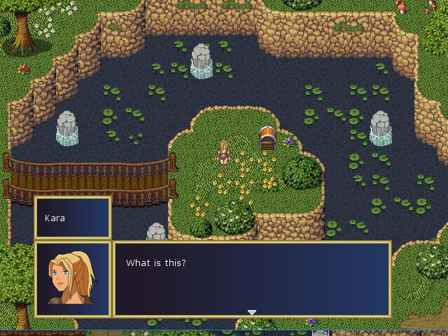 Screenshot 13
