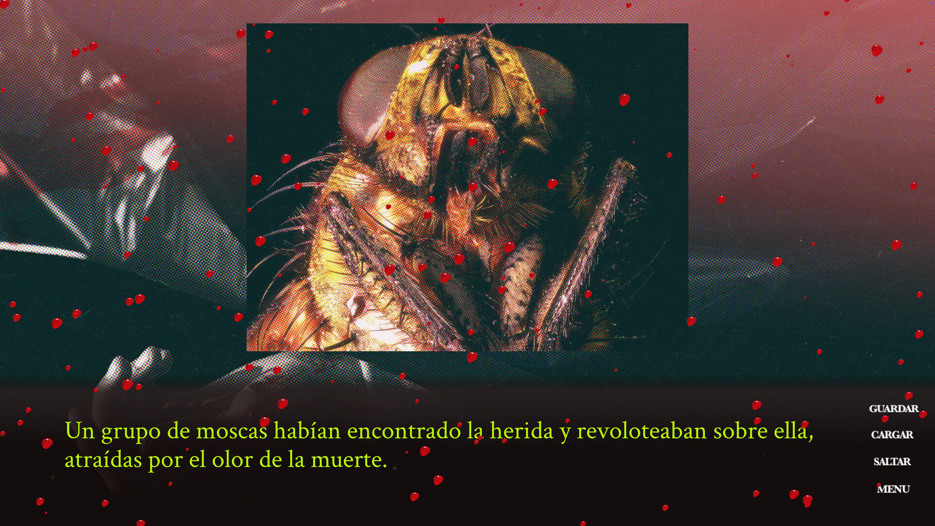 Screenshot 19