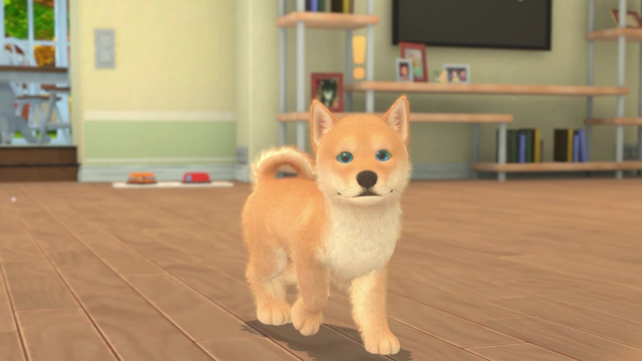 Screenshot 14