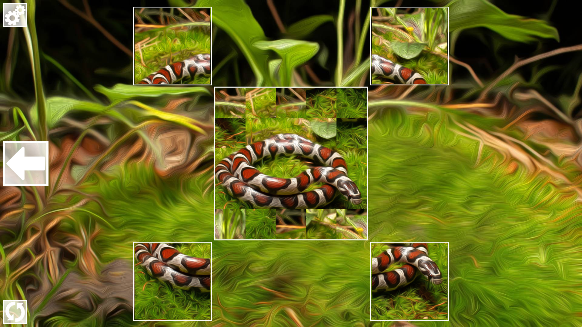 Screenshot 11