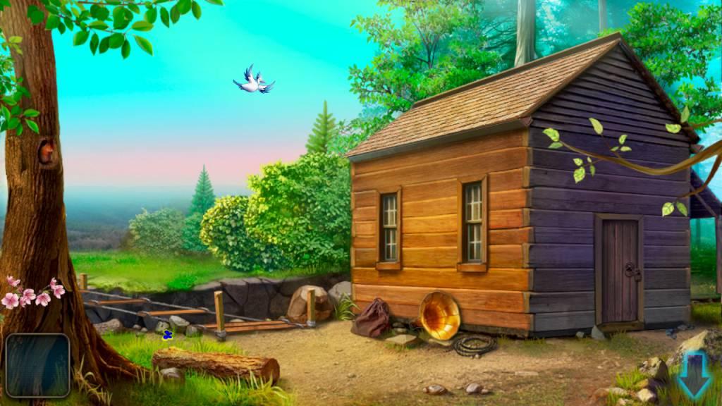 Screenshot 11