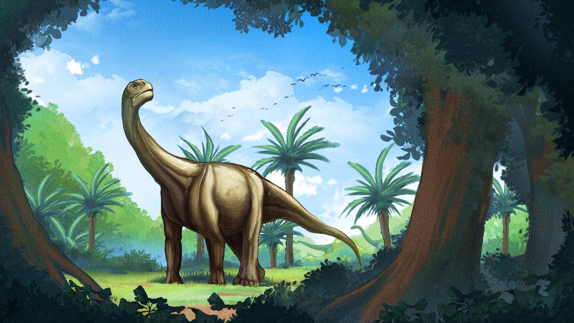 Screenshot 14