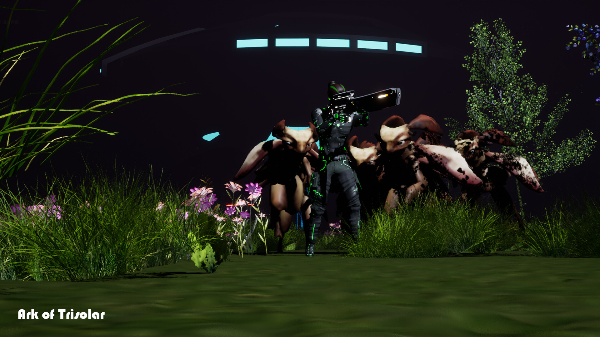 Screenshot 12