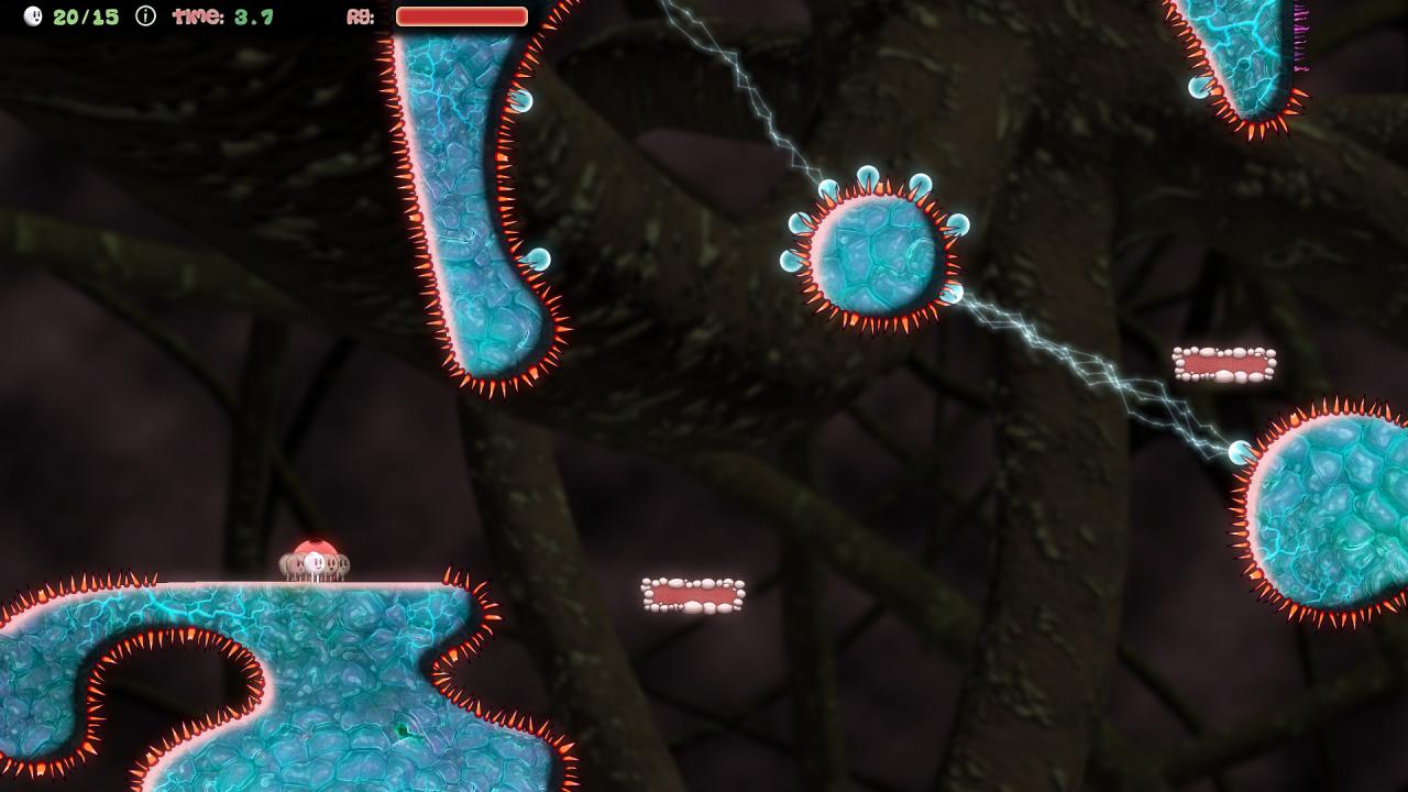 Screenshot 19