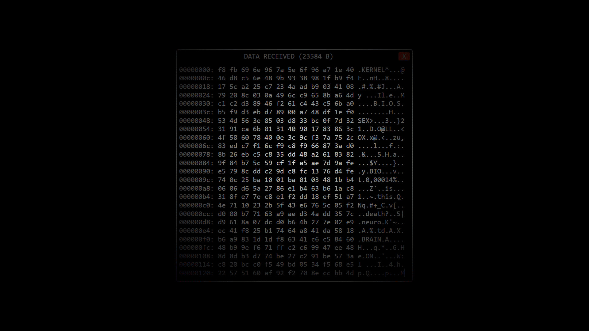 Screenshot 17