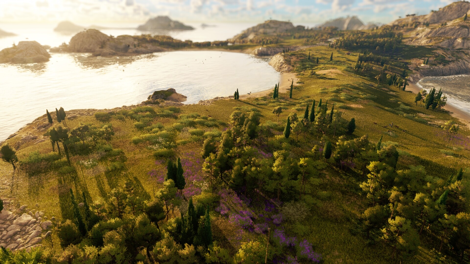 Screenshot 20