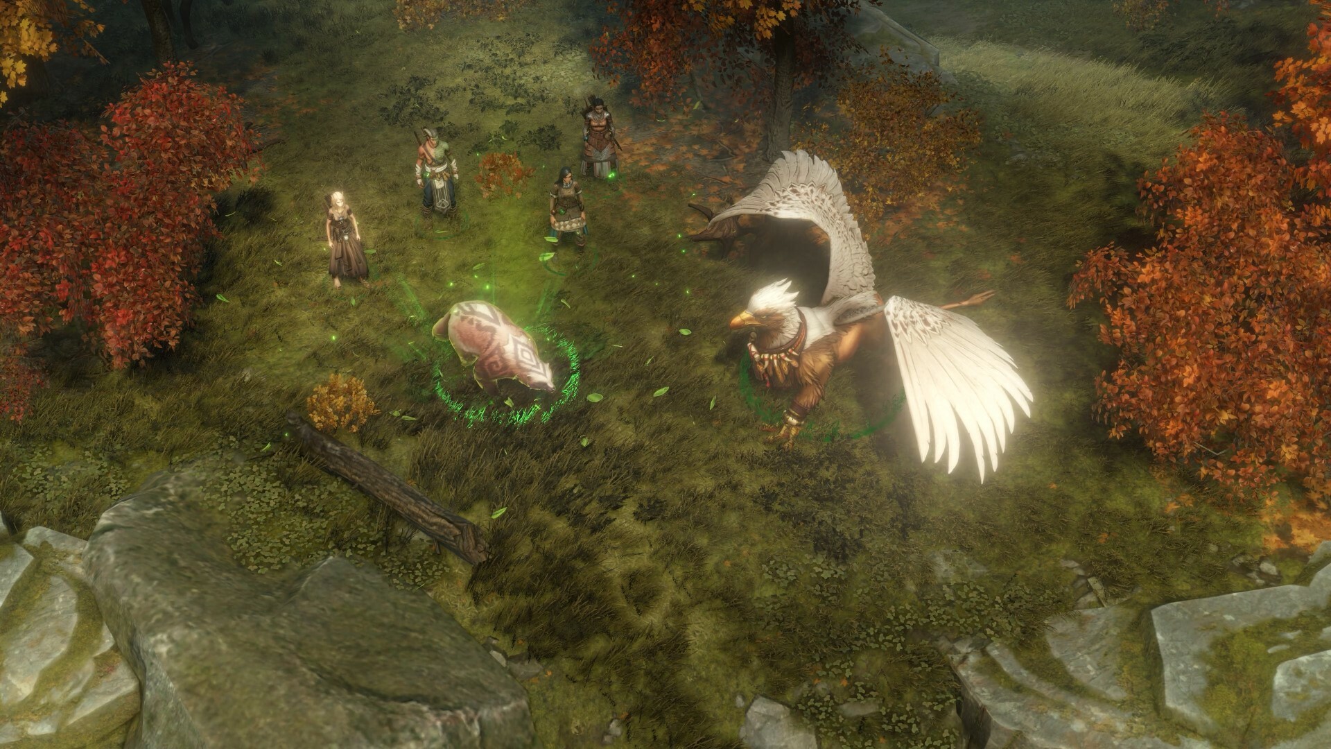 Screenshot 19
