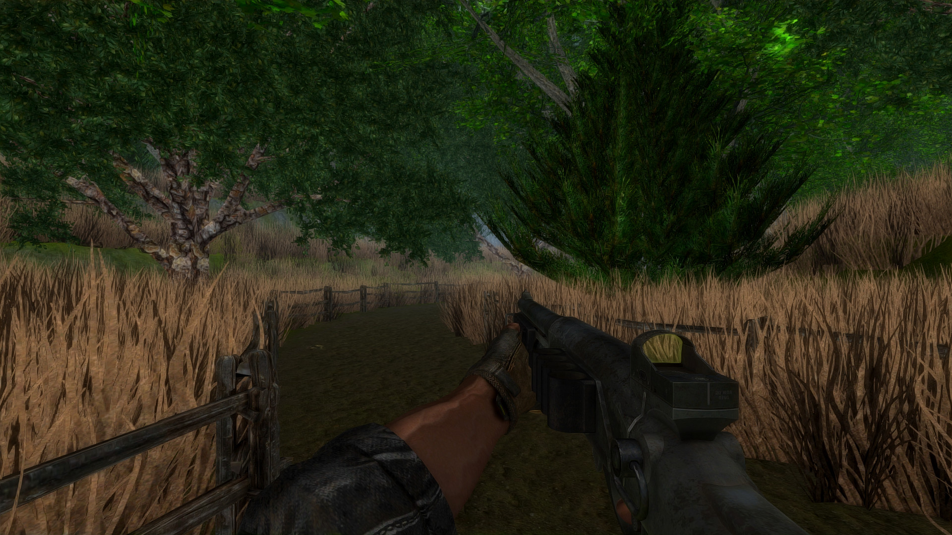 Screenshot 15