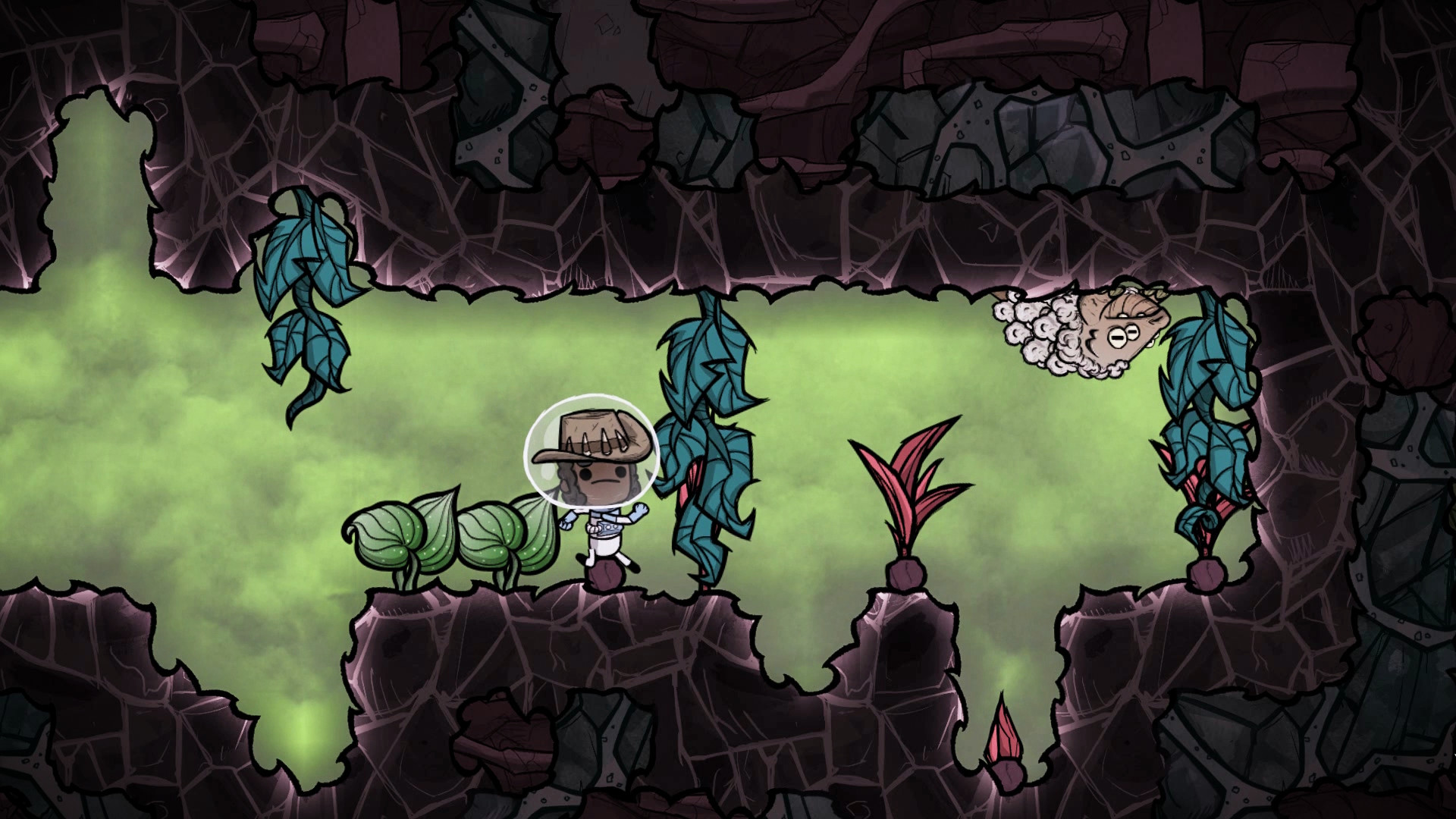 Screenshot 12