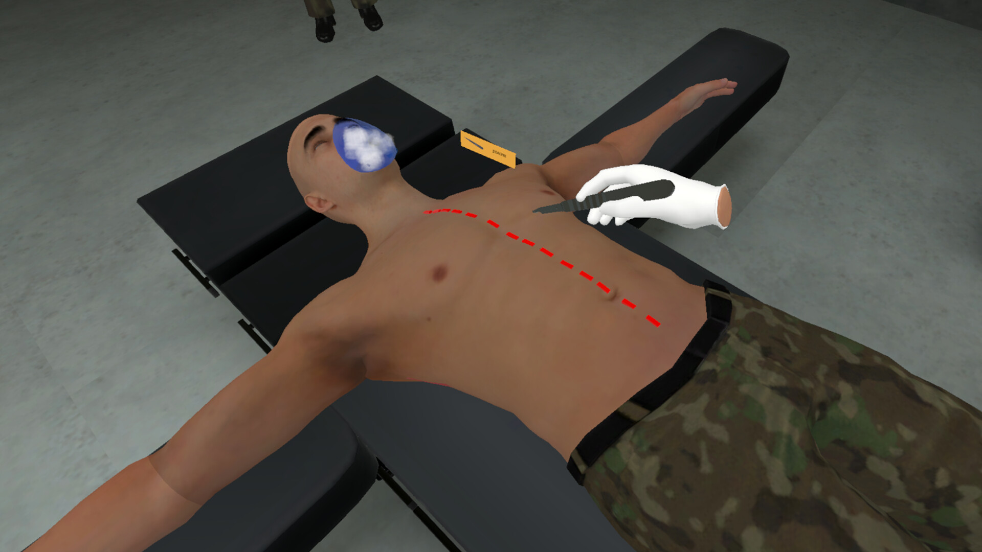 Screenshot 12