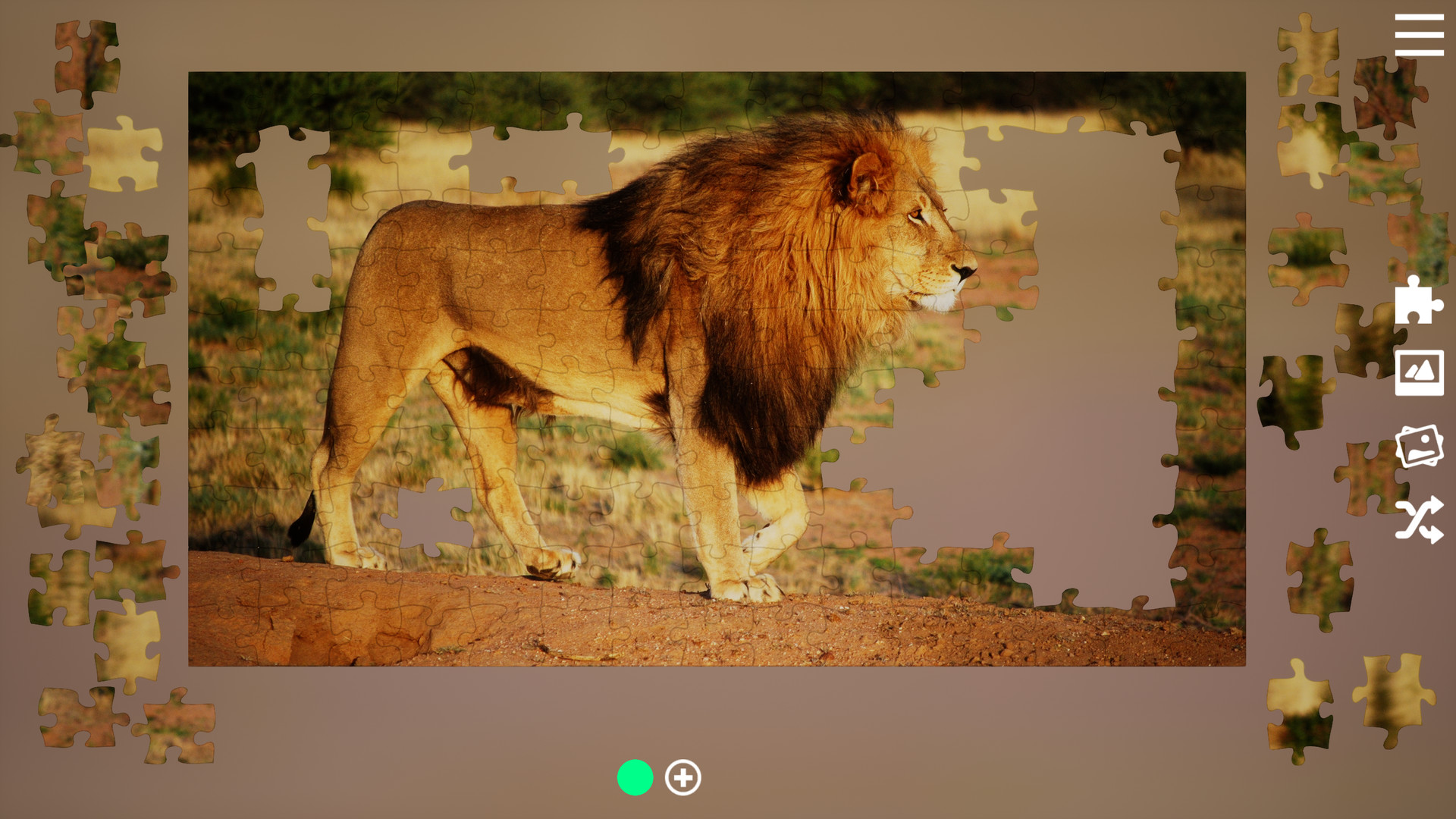 Screenshot 19