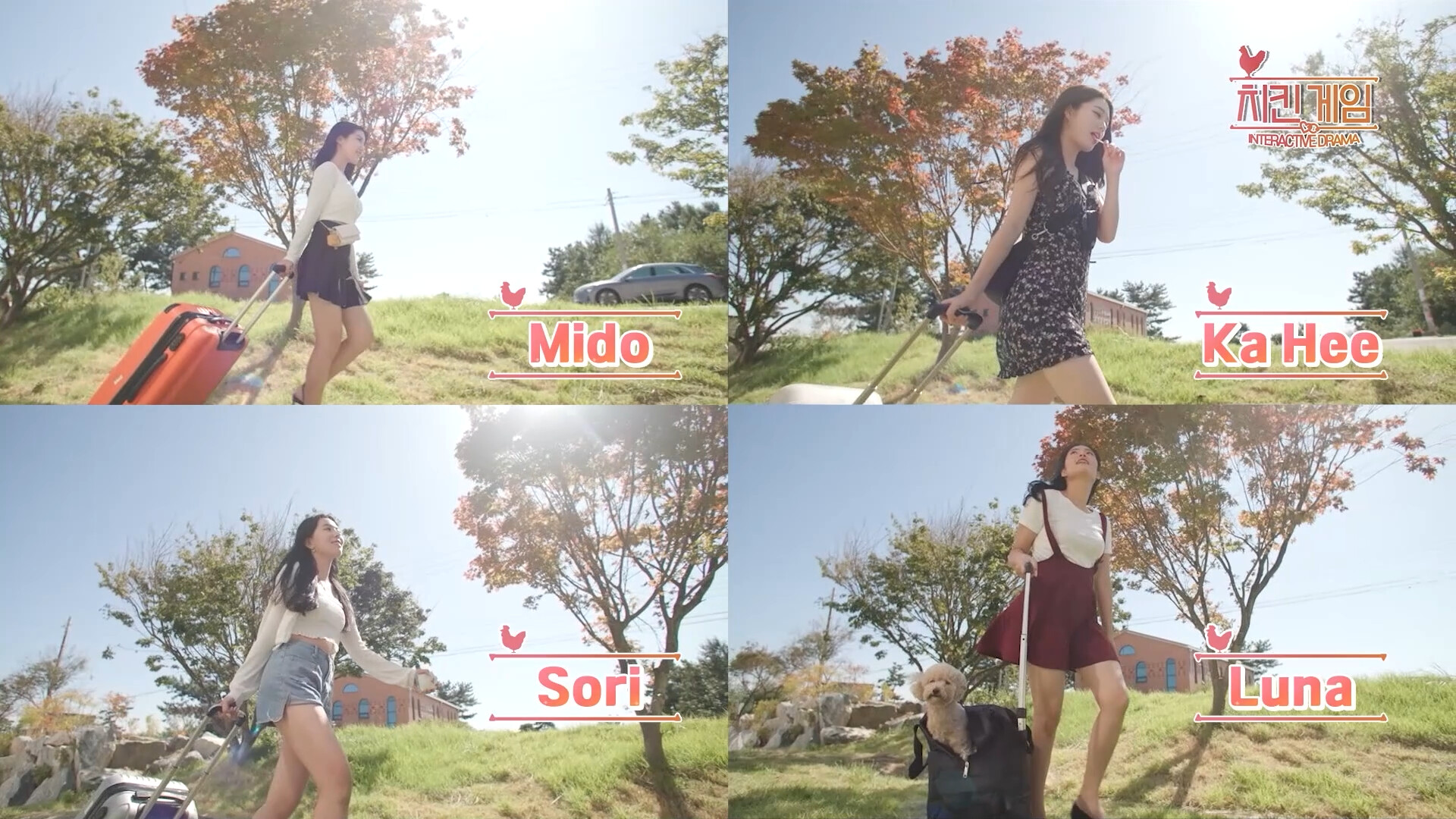 Screenshot 14